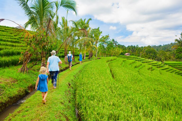 Explorez les joies familiales à Bali