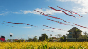 Bali International Kite Festival 2025 : Un Spectacle Céleste du 31 Juillet au 3 Août