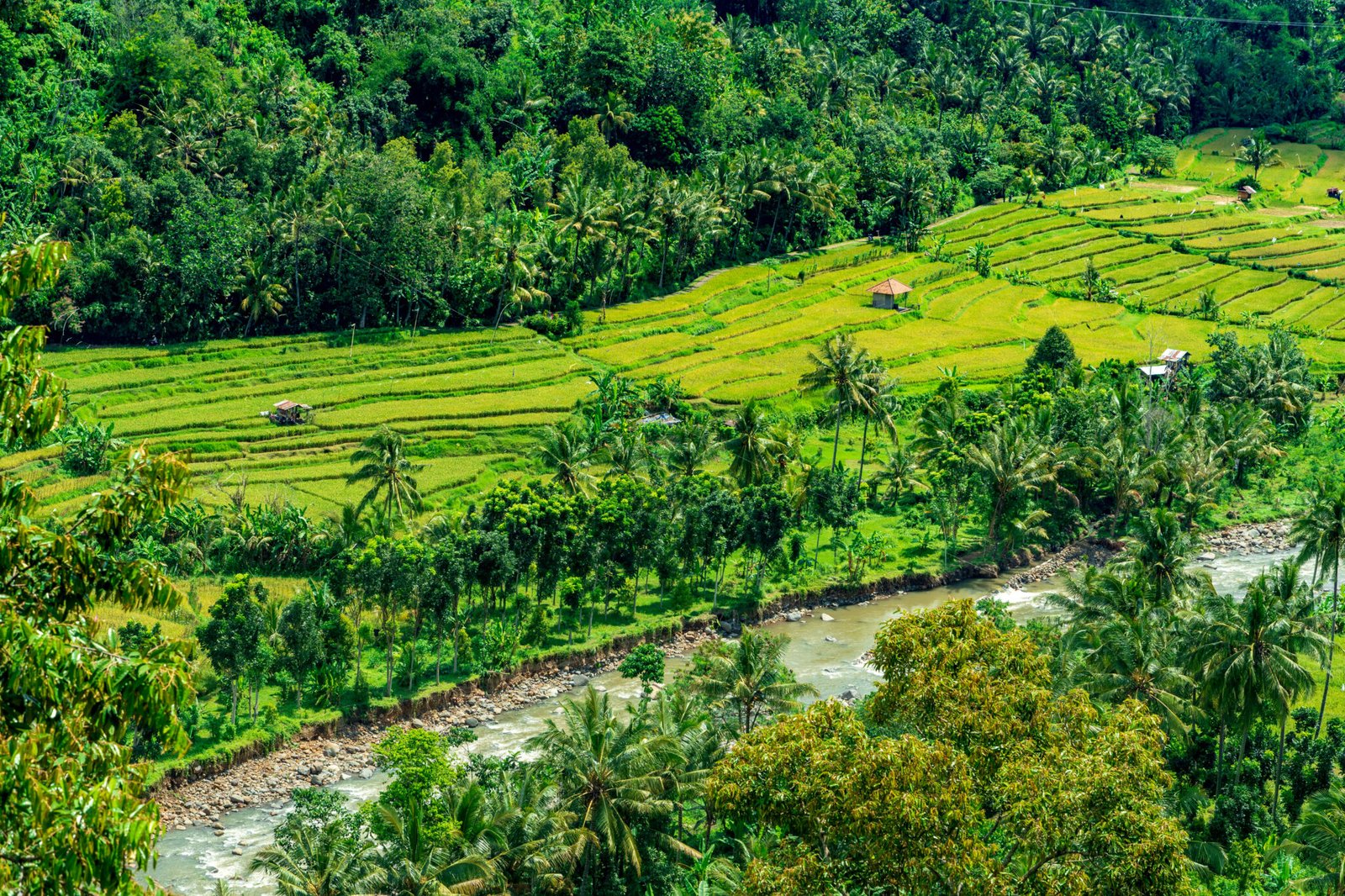 Les Plus Belles Rizières de Bali : Nos 6 Coups de Cœur Inoubliables ...
