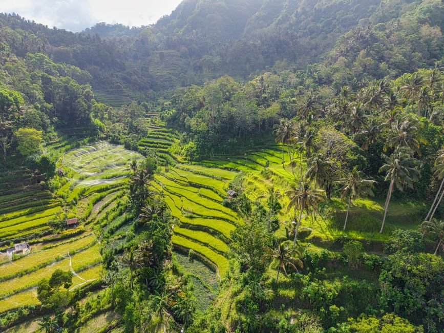 que faire à bali à Bali — welcomeinbali.com